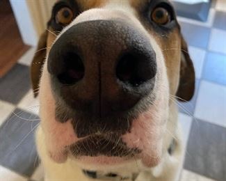 Does this photo make my nose look big