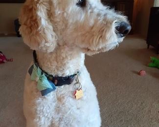 Yes…. I know how handsome I am. 
I am a model only. 