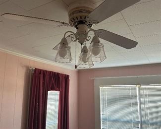 Ceiling fan with light kit