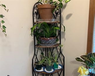 Live Plants and Corner Plant Stand