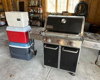 Weber Grill,
Coolers
