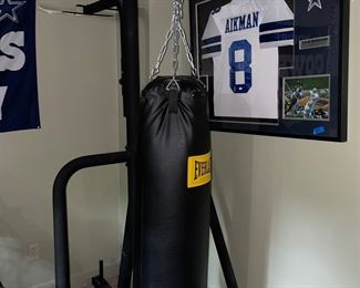 Everlast Boxing Bag - Framed Jersey is NOT FOR SALE 