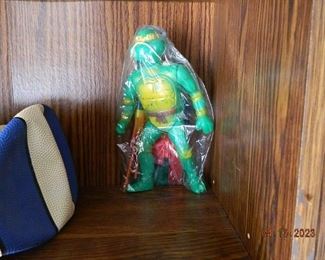 Teenage Mutant Ninja Turtle