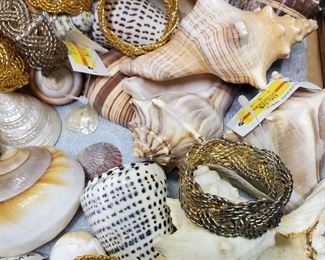 Shells