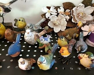 Bird Collection