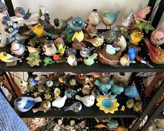 Bird Collection