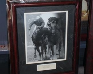 "The Savage" photo by Bob Coglianese