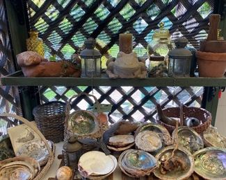 Part of the abalone shell collection