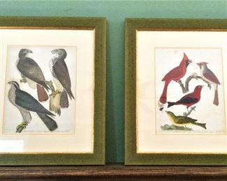 Pair of Lithographs by Alexander Wilson,,,, Circa 1830