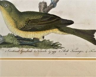 Another Closer Look!