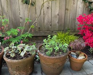 Outdoor Terra Cotta Pots