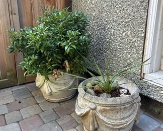 Cement Planters with Outdoor Plants