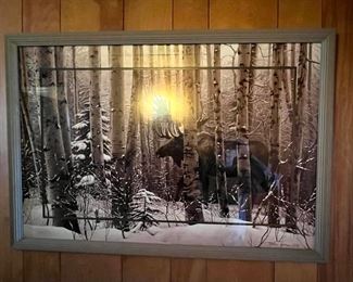 Framed Print - A Walk in the Woods