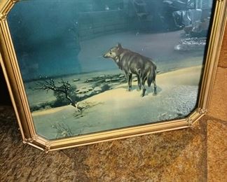 Gold Toned Framed Print of Wolf
