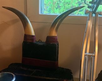 Mounted Bull Horns