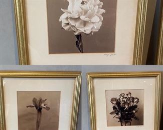 Maya Gordon Original Signed Floral Phography