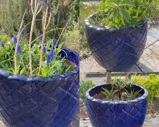 Three Large Blue Planters With Plants