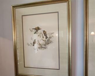Lovely Vintage Framed Bird Prints (set of 3)