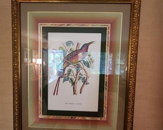 John Richard Framed Bird Print 