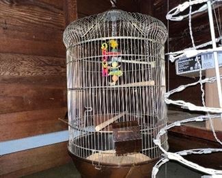 Bird Cage 