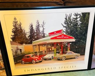 Framed Endangered Species 