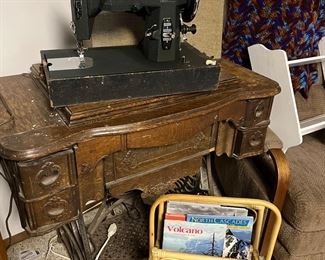 Electric and treadle sewing machines