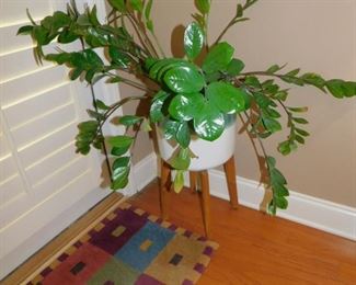 PLANTER & LIVE PLANT