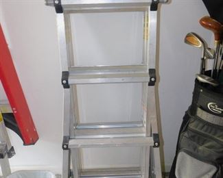Folding Ladder