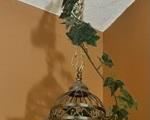Brass hanging bird cage with chain, climbing ivy