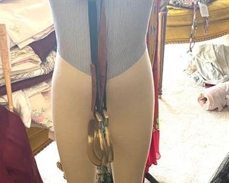 Equestrian manakin