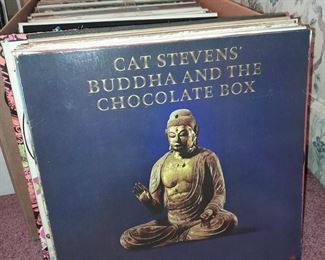 Cat Stevens LP Album