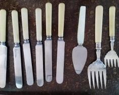 8 flatware mother pearl
