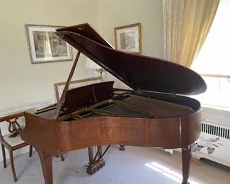 Steinway & Son