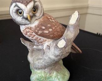 The American Owl Collection