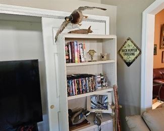 Several mounted ducks