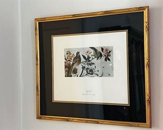 Framed prints