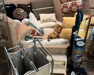 Pillows, vacuum and cleaning supplies