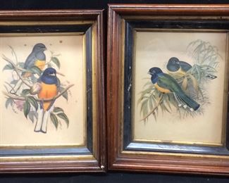 ANTIQUE BIRDS FRAMED ART