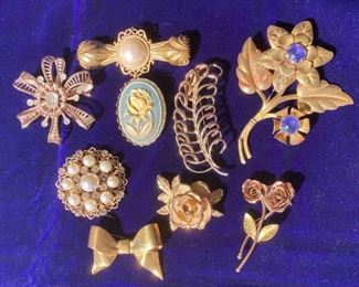 Collection Of Nine Brooches