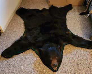 Bear Rug
