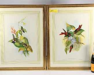 PR Framed Hummingbird Prints