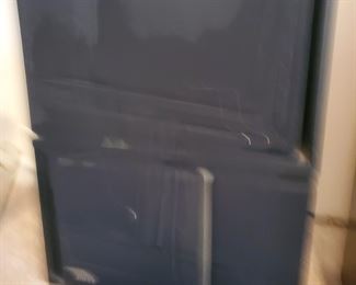 Bose Series III 301 speakers