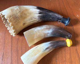 polished cow horns