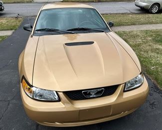 63 2000 Ford Mustang Hoodmin