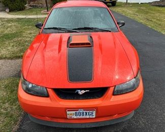 63 2004 Ford Mustang Mach 1 Hoodmin