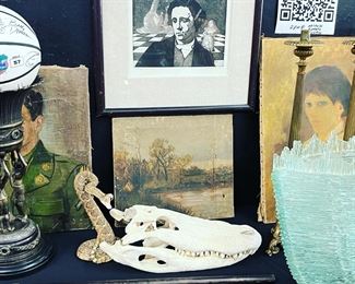 gator skull at Orlando Estate Auction