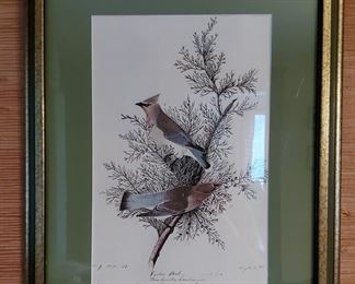 Framed Cedar Waxwing plate
