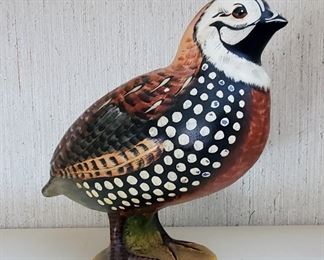 Female Bobwhite Italy S.6204