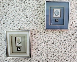 Michele Conley Vogel Shells Framed