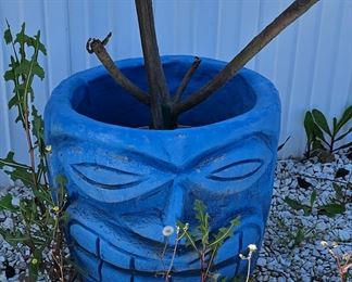 Look for more photos adding more everyday